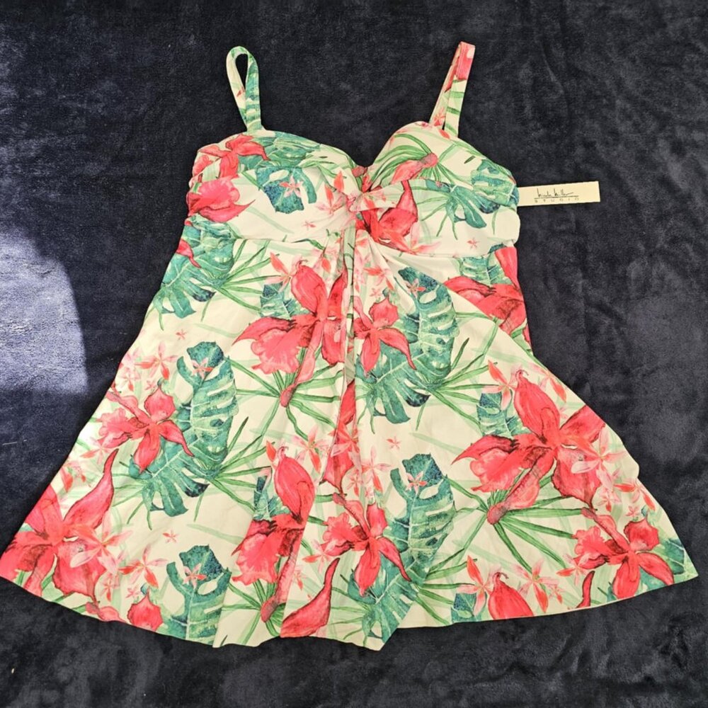 Swimsuit (Nicole Miller Women's One Piece Swimdress)